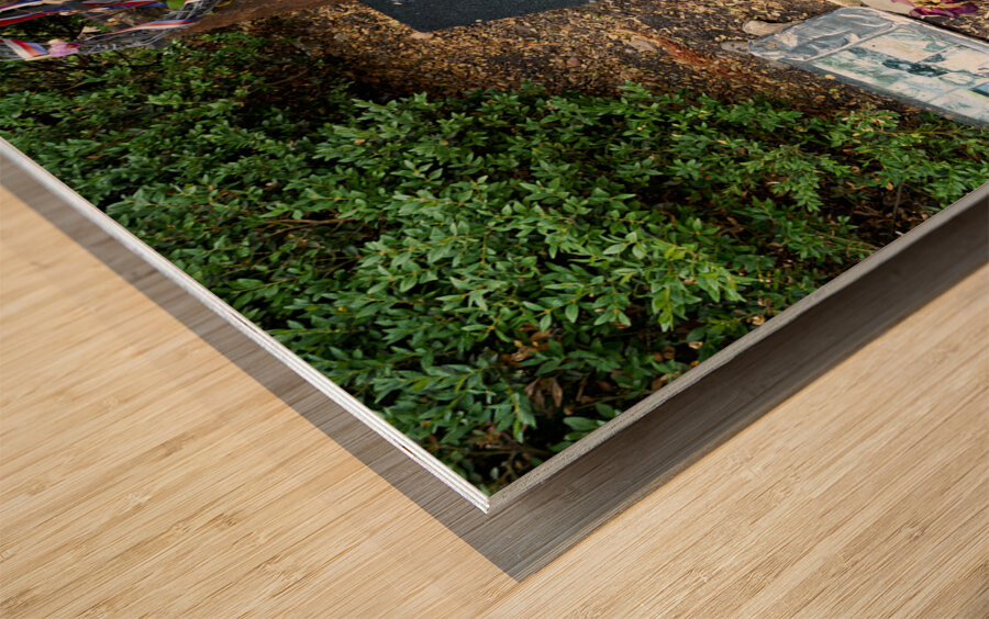 Czech Republic. Prague. The memorial to Jan Palach and Jan Zajic in Wenceslas Square Wood print