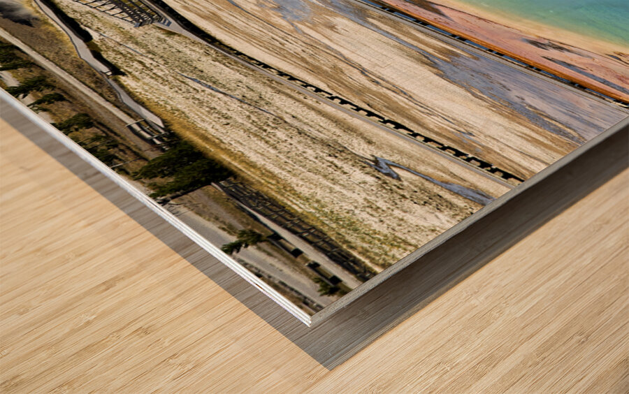 A bison crossing Grand Prismatic Spring at the Yellowstone National Park. Wyoming. USA. Wood print