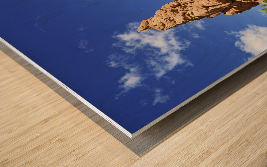 Hoodoohs at the Dixie National Forest. Utah. USA Wood print