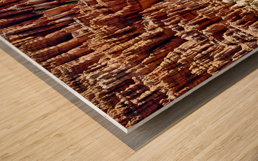 Inspiration Point Lookout in the Bryce Canyon National Park. Utah USA Wood print