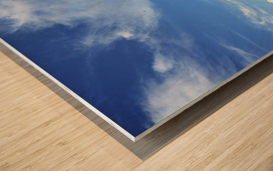 Monument Valley. Navajo Nation. Merrick Butte. West Mitten Butte Wood print