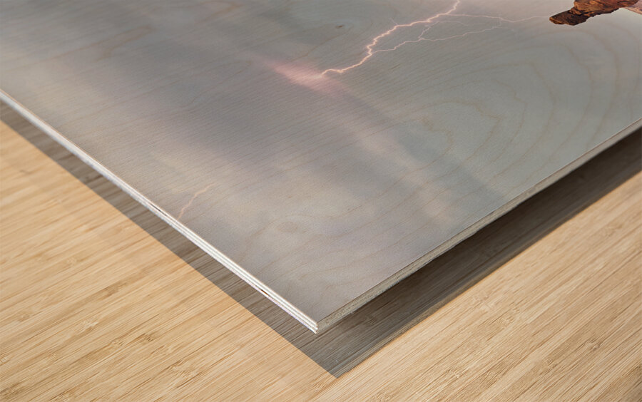 Monument Valley. Navajo Nation. Thunderstorm on the Butte Wood print