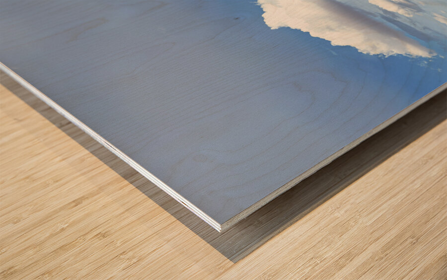 Monument Valley. Navajo Nation. Elephant Butte Wood print