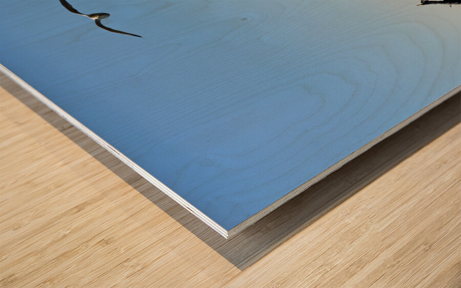 New York. Manhattan. United States. Tourists approaching Liberty Island by ferry Wood print