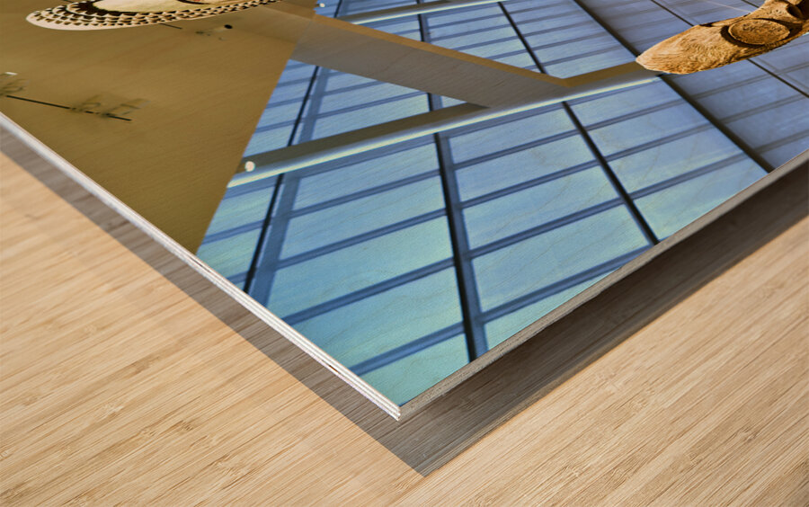 New York. Manhattan. United States. The Metropolitan Museum of Art. Oceanic Art in the Michael Rockfeller Wing Wood print