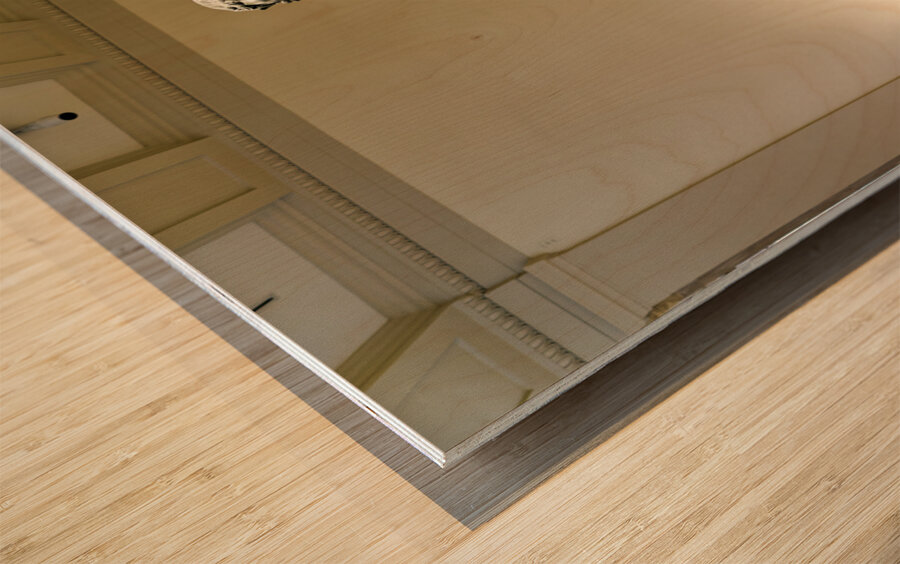 New York. Manhattan. United States. The Metropolitan Museum of Art. Greek and Roman Art Wood print