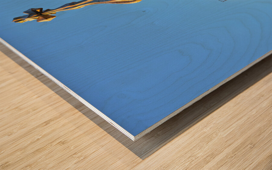 Barcelona. Catalonia. Spain. Casa Batllo is a renowned building located in the center of Barcelona and is one of Antoni Gaudi´s masterpieces Wood print