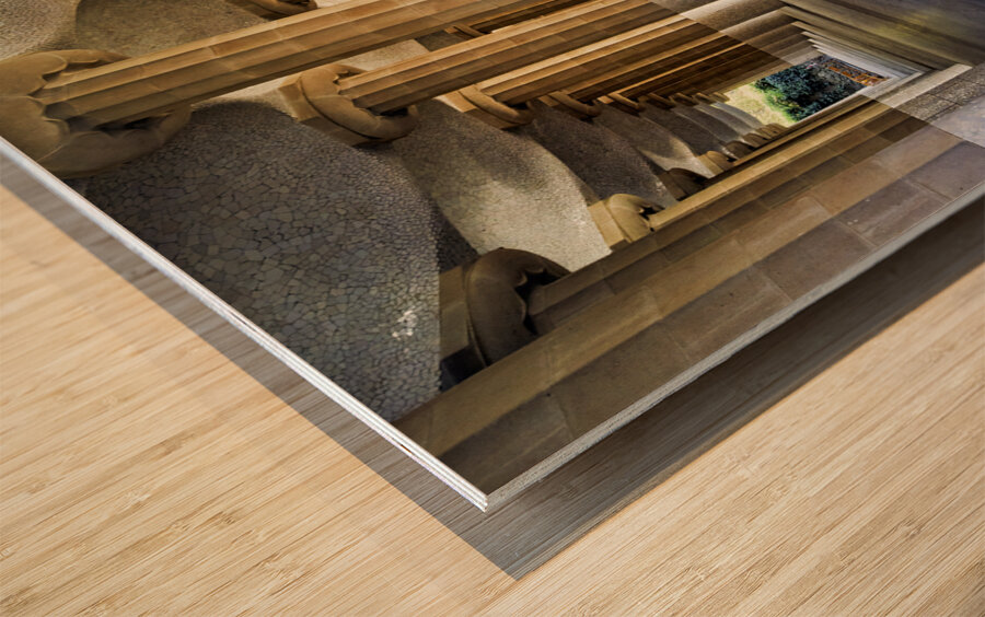 Barcelona. Catalonia. Spain. Columns and Domes of Hypostyle Room in Park Guell Wood print