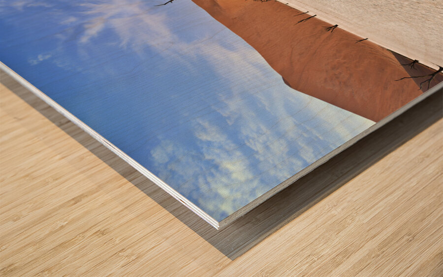 Namibia. Deadvlei clay pan. Namib Naukluft National Park. A dried out dead camel thorn Vachellia erioloba Wood print