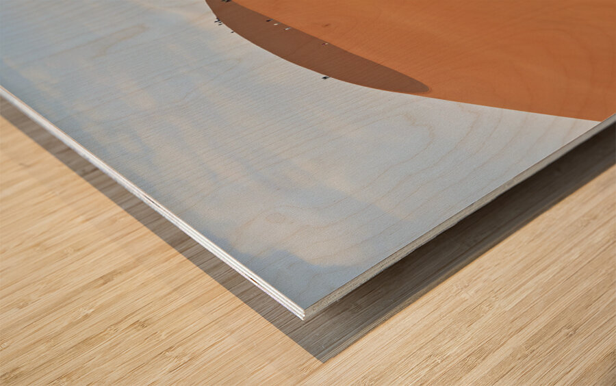 Namibia. Climbing the sand dunes at Sossusvlei. Namib Naukluft National Park Wood print