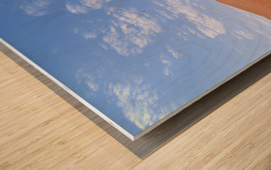 Namibia. Deadvlei clay pan. Namib Naukluft National Park. A dried out dead camel thorn Vachellia erioloba Wood print