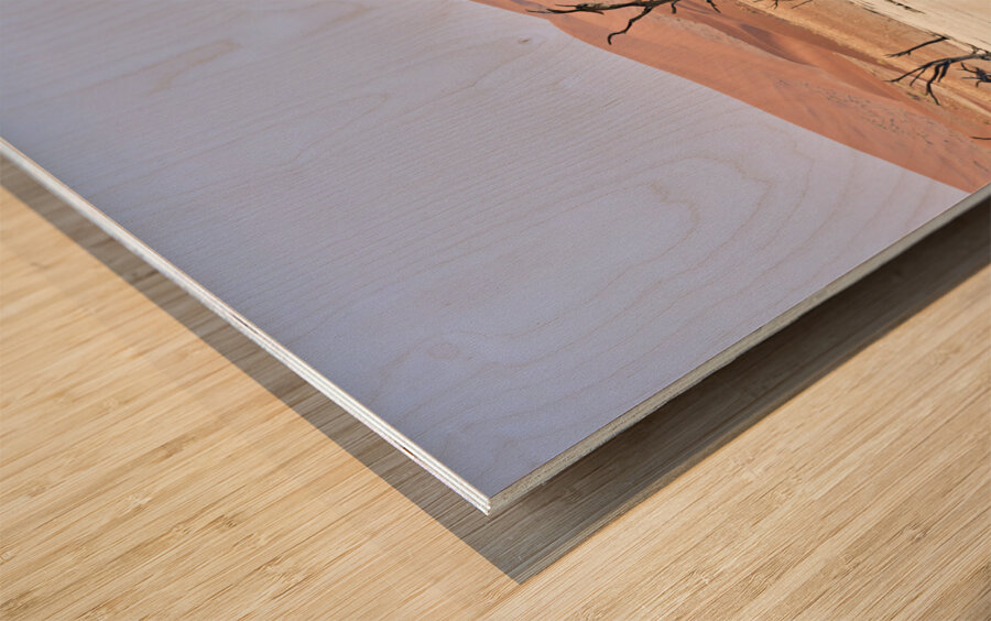 Namibia. Deadvlei clay pan. Namib Naukluft National Park. A dried out dead camel thorn Vachellia erioloba Wood print