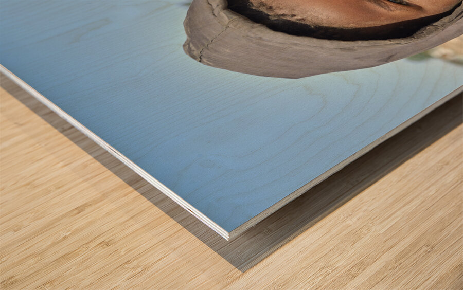 Namibia. Portrait of a group of children in a village of Damaraland Wood print
