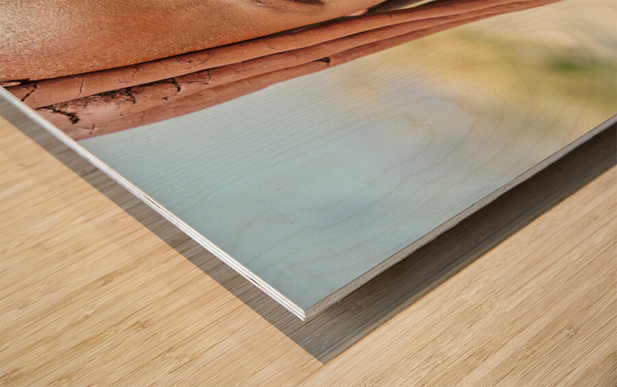 Namibia. Portrait of a Himba woman in Kunene region Wood print