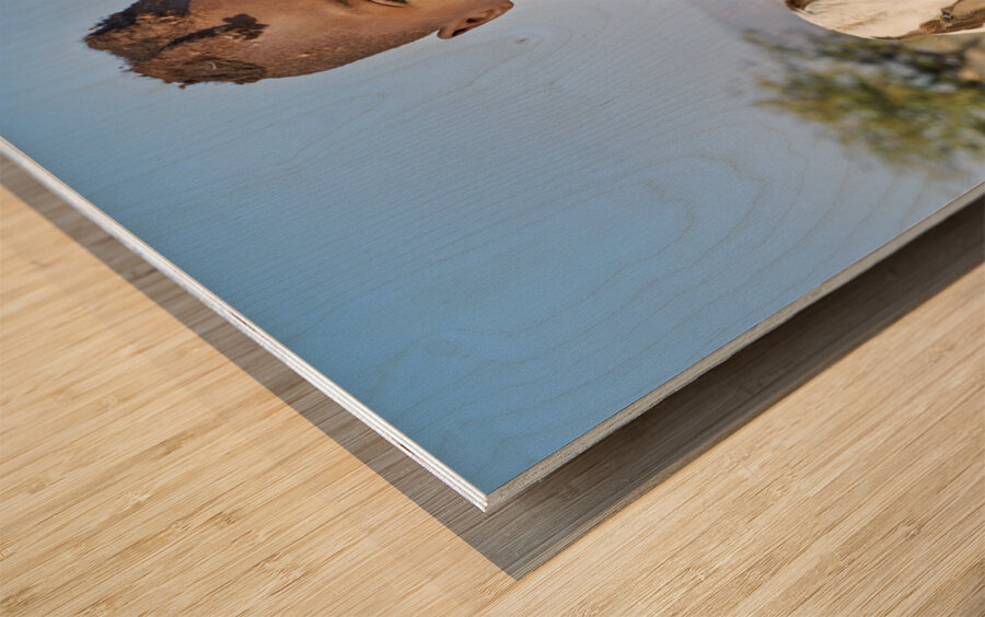 NAMIBIA. Himba Village in Kunene Region. Wood print