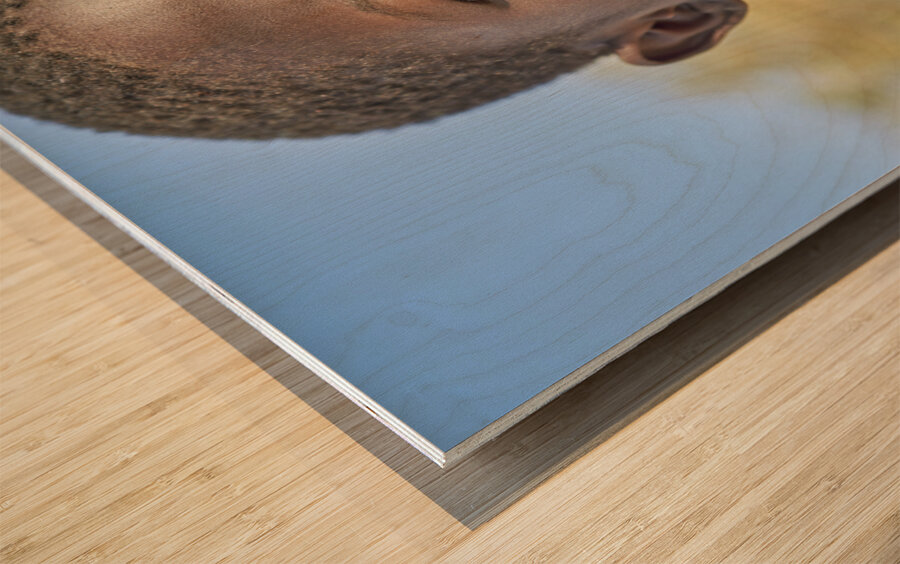 Namibia. Children in Palmwag Kunene Region Damaraland Wood print