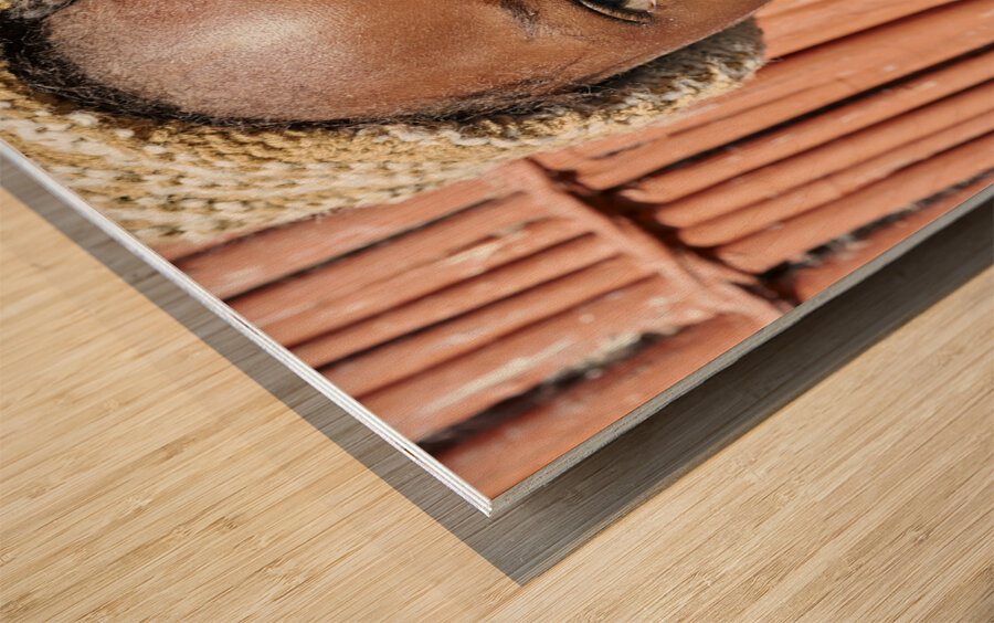 Namibia. Portrait of a joyful child in Kavango Region Wood print