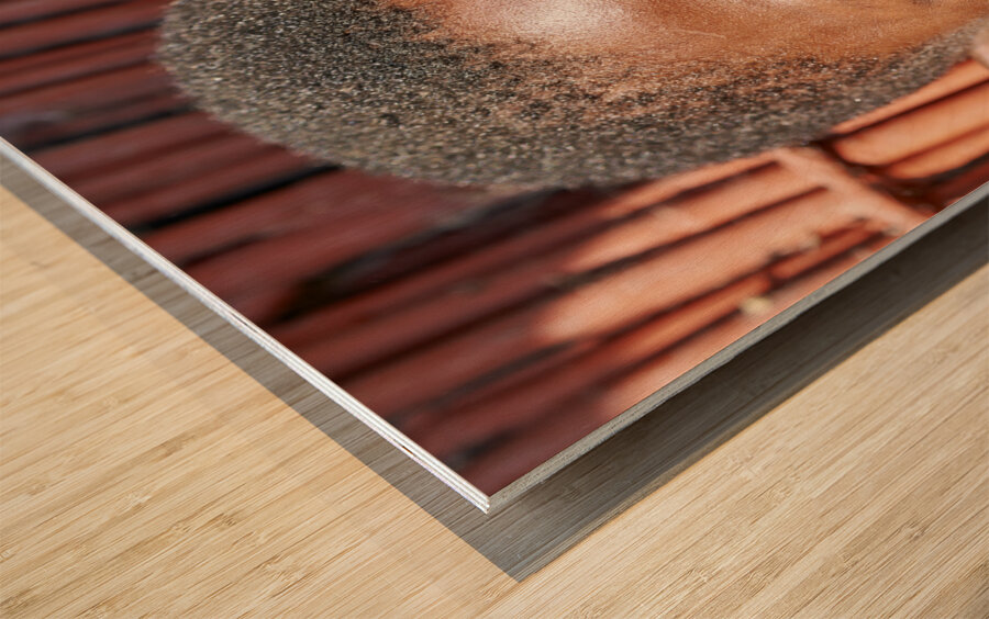 Namibia. Portrait of a joyful child in Kavango Region Wood print