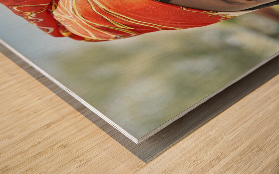 Namibia. Portrait of a woman of Zemba Bantu ethnic group in Kunene Region Wood print