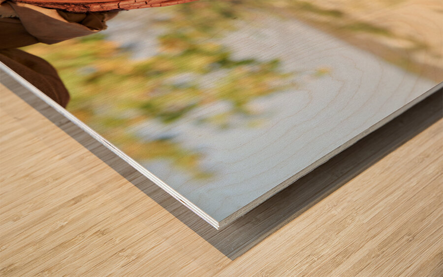Namibia. Portrait of a smiling Himba woman with her baby in Kunene region Wood print