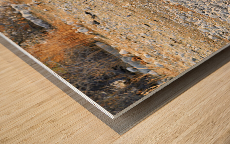 Namibia. Etosha National Park. A Gemsbok Oryx drinking at a waterhole Wood print
