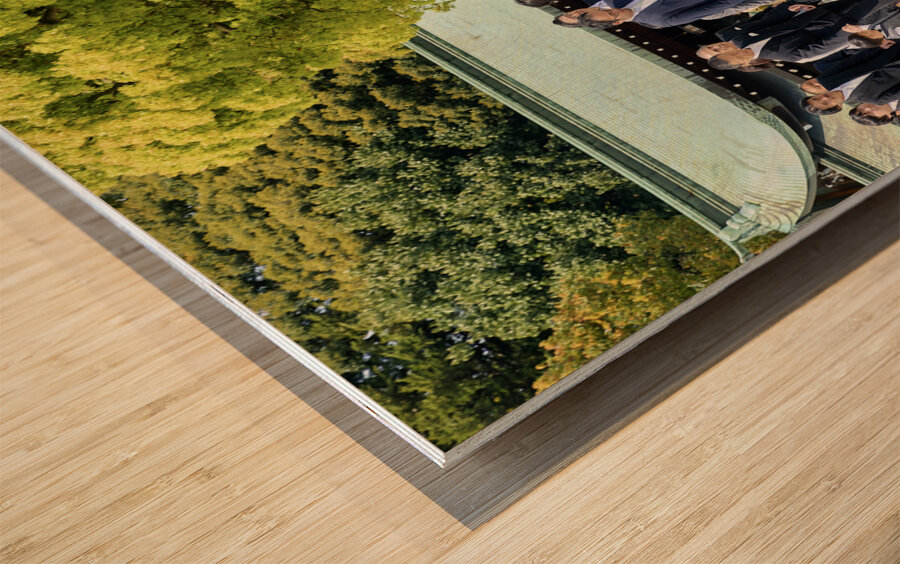 Japan. Tokyo. Traditional wedding ceremony at Meiji Jingu Shinto shrine Wood print