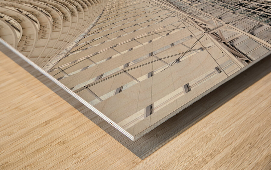 Japan. Tokyo. The International Forum Wood print