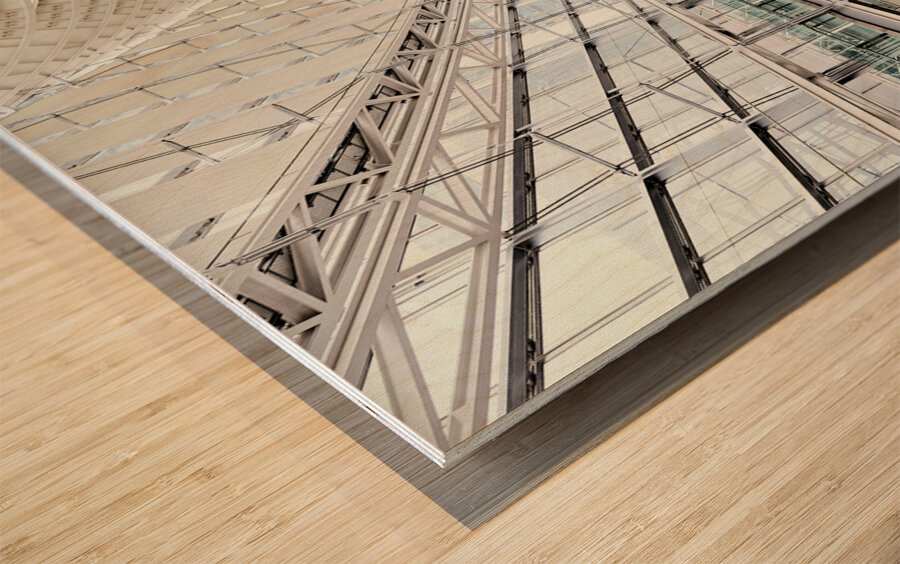 Japan. Tokyo. The International Forum Wood print