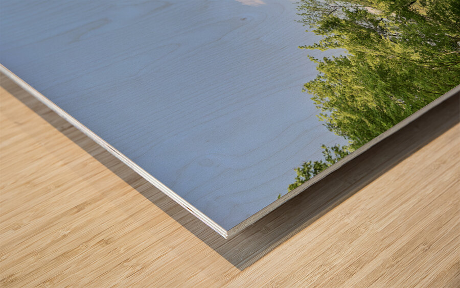 Japan. Kyoto. Kiyomizu Dera Temple. Koyasu Pagoda Wood print