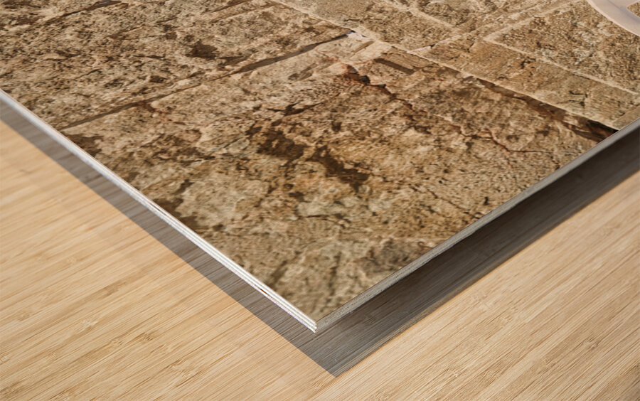 Jerusalem Israel. Orthodox jews praying at the wailing wall Wood print