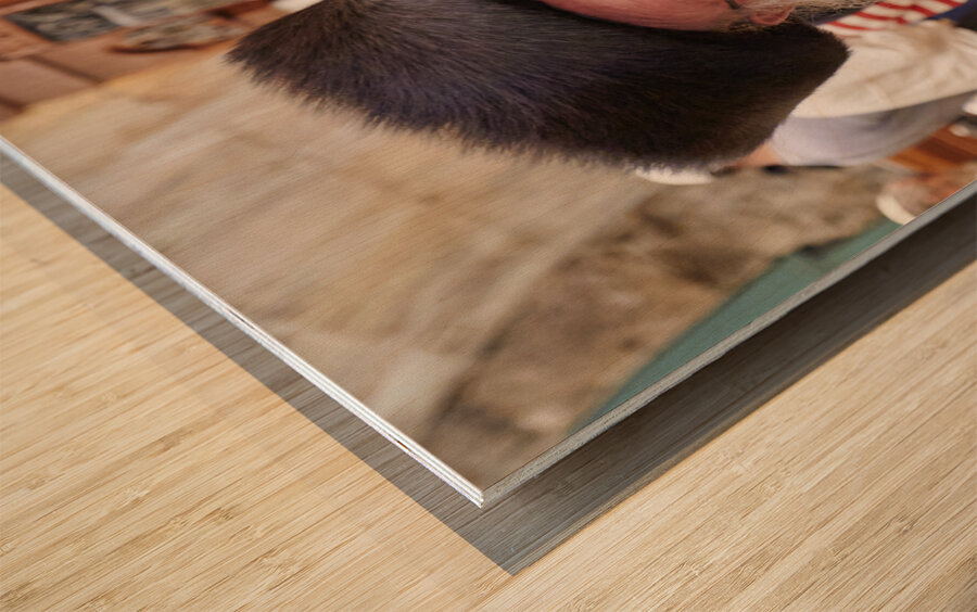Jerusalem Israel. Orthodox jews praying at the wailing wall Wood print