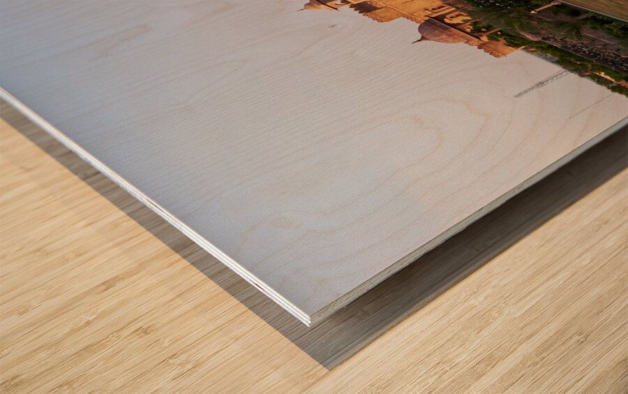 India Rajasthan. Khimsar Fort Wood print