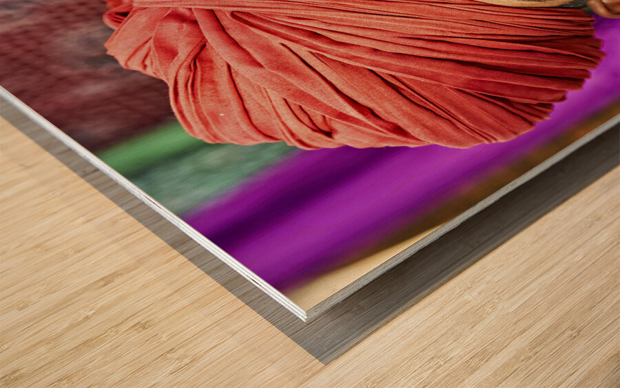 INDIA Rajasthan Jaisalmer Wood print