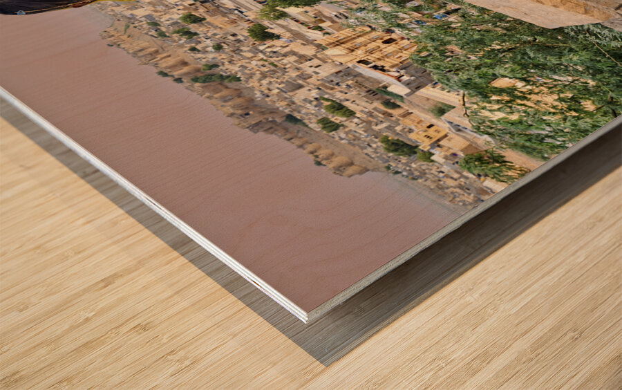 India Rajasthan jaisalmer. Portrait of a group of boys and girl Wood print