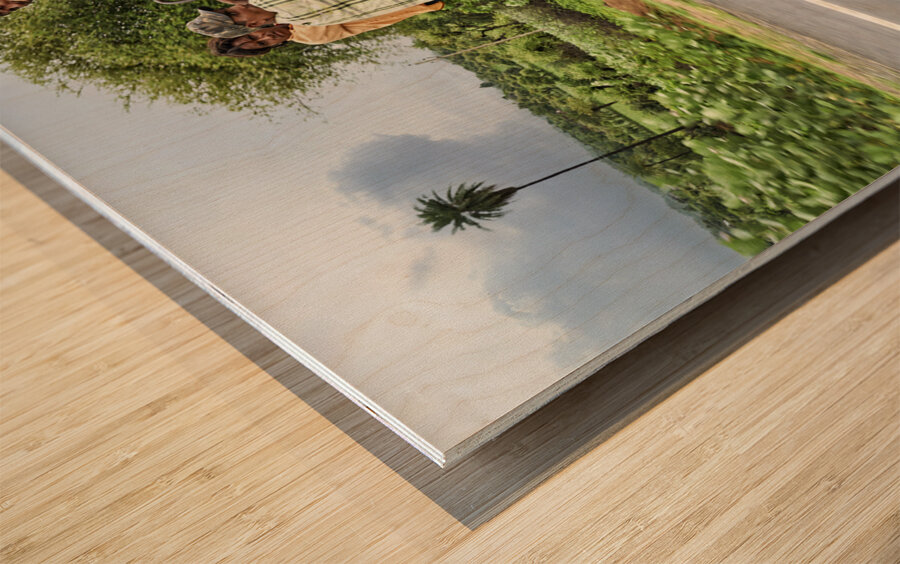 India Rajasthan. Busy transportation Wood print