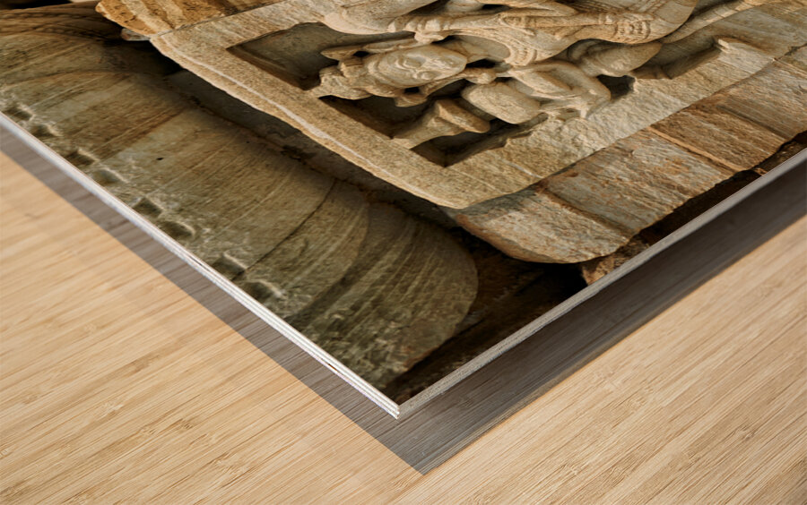 India Rajasthan. Chittorgarh Fort Wood print