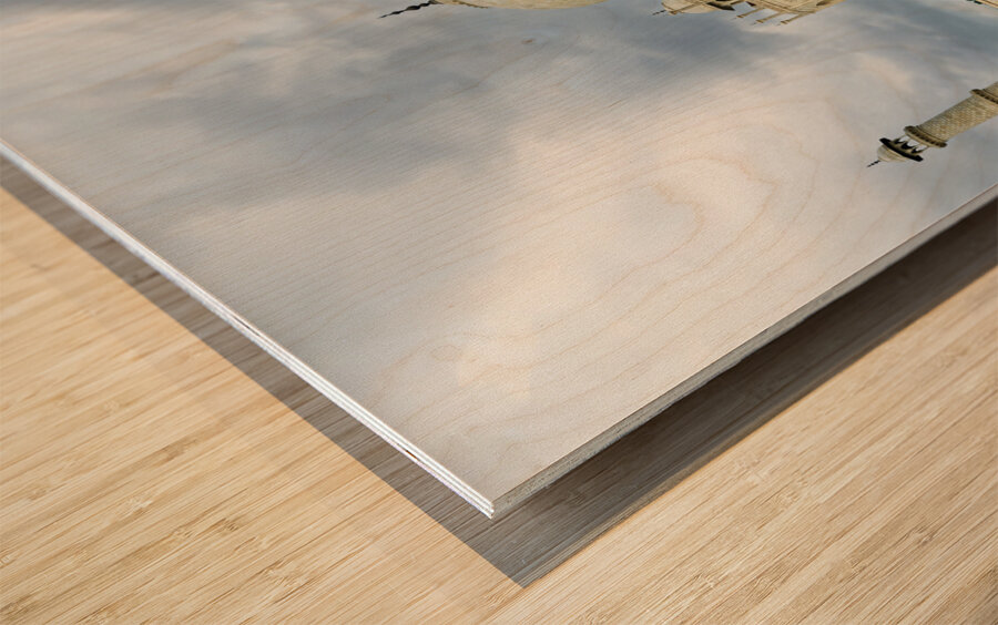 India Agra. The Taj Mahal Palace Wood print