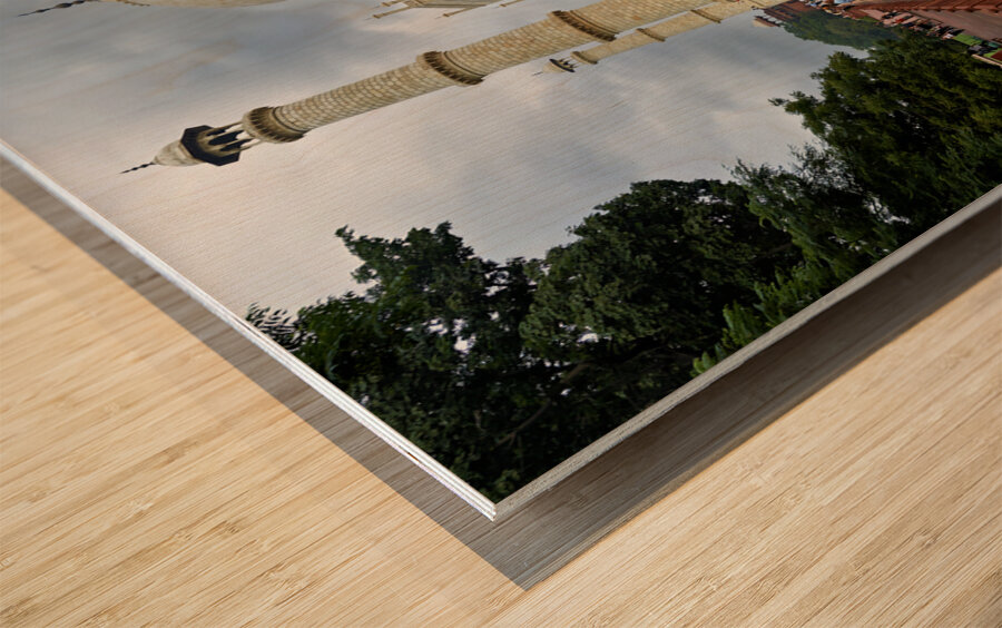 India Agra. The Taj Mahal Palace Wood print