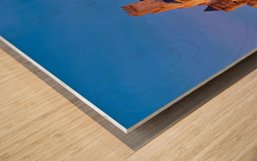 Carcassonne France Wood print