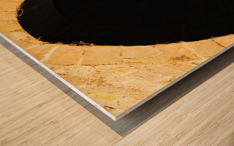 Carcassonne France Wood print