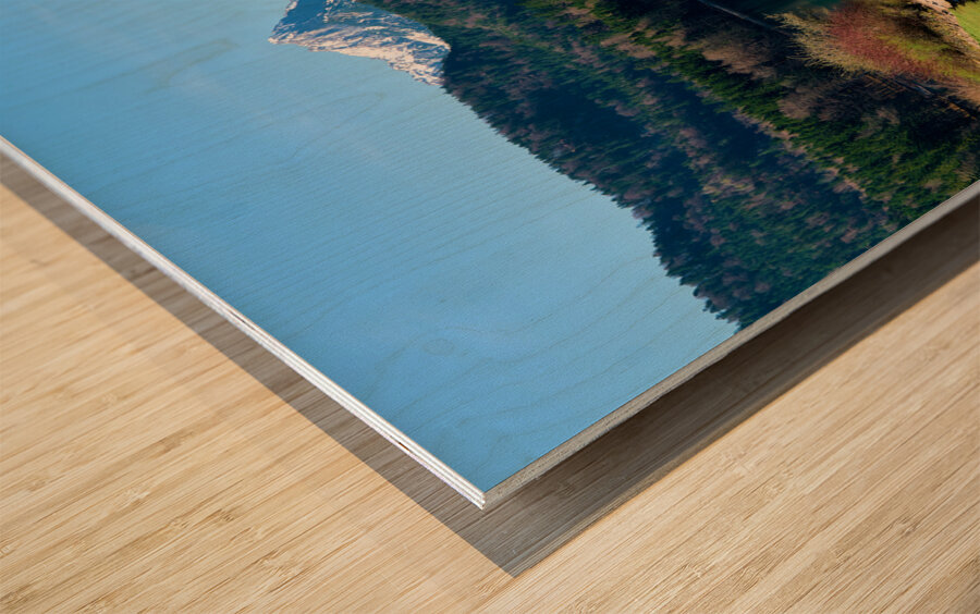 Germany Bavaria Romantic Road. Fussen. Alpsee lake Wood print