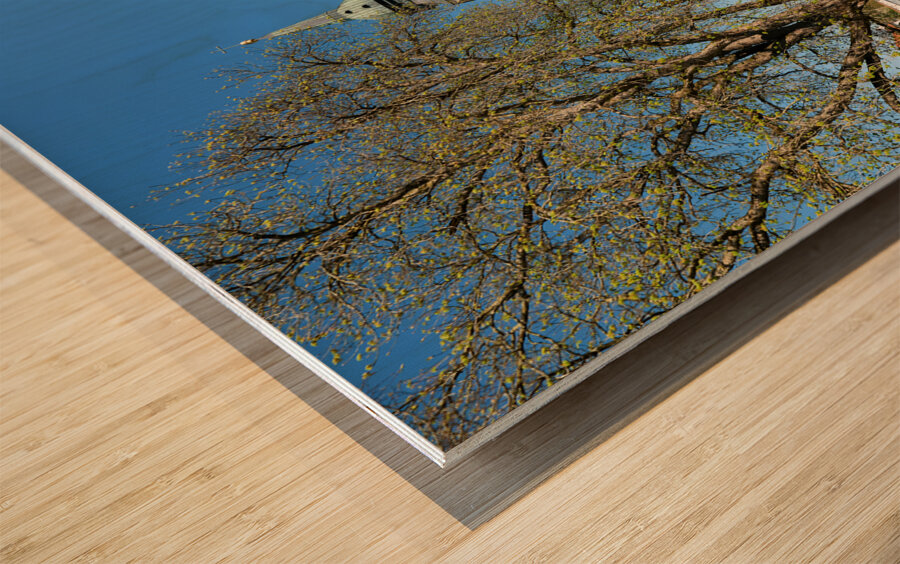 Germany Bavaria Romantic Road. Rottenbuch. Maria Geburt Church Wood print