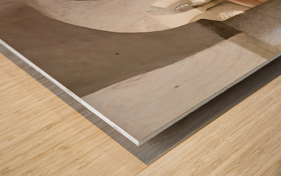 Germany Bavaria Romantic Road. Augsburg. Augsburger Dom Cathedral. The crypt Wood print