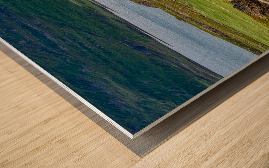 Winding road in Vatnsfjordhur. Iceland Wood print