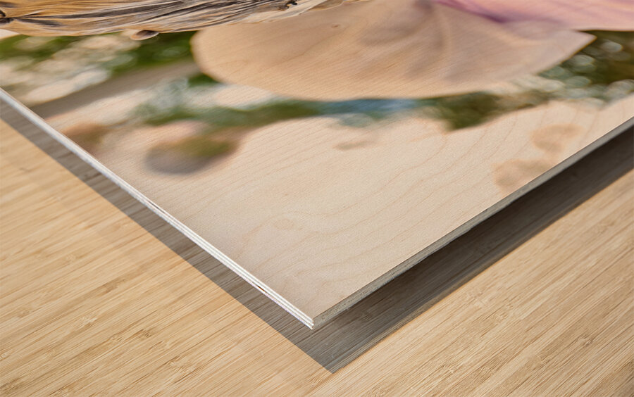 Syria. Aleppo. Girl smoking hookah and looking at her smartphone Wood print