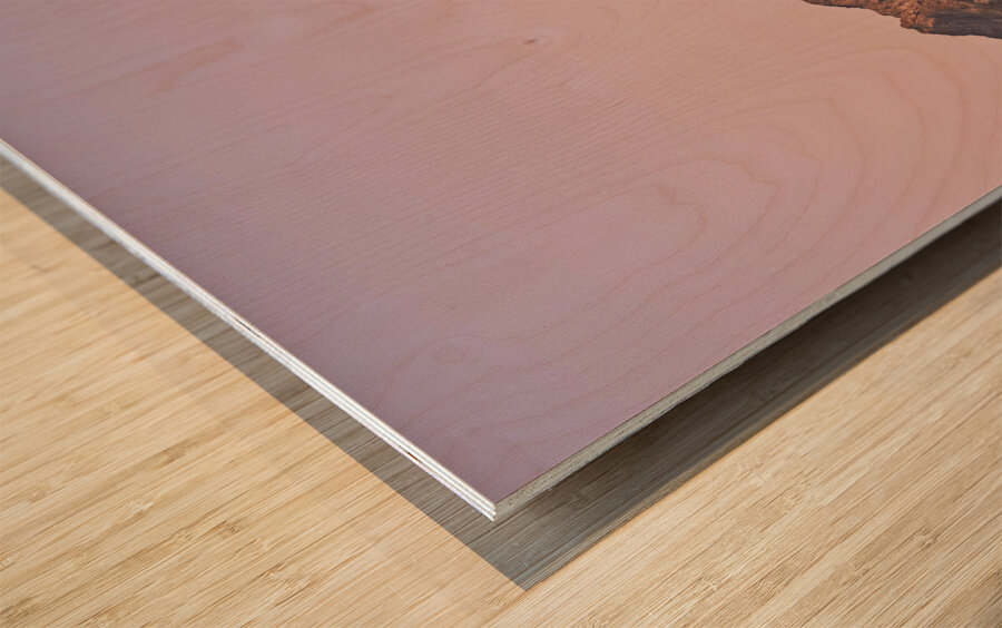 Oman. Muscat. Cityscape at sunset Wood print