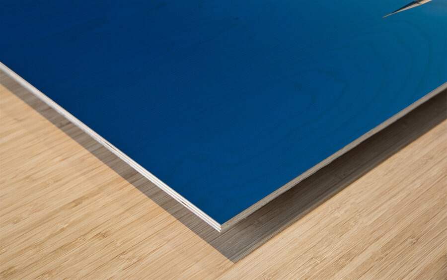 Istanbul Turkey. The Blue Mosque Wood print