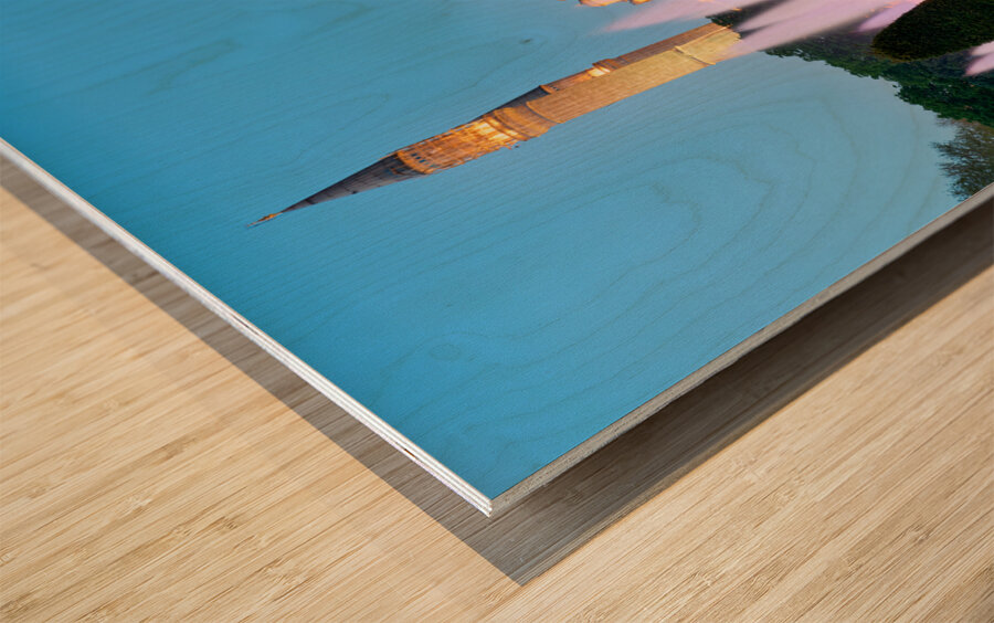 Istanbul Turkey. Hagia Sophia Grand Mosque Wood print