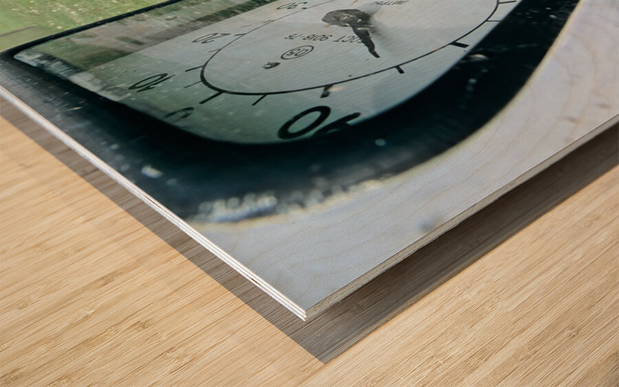 Mongolia. An old-fashioned vintage Petrol Station Wood print