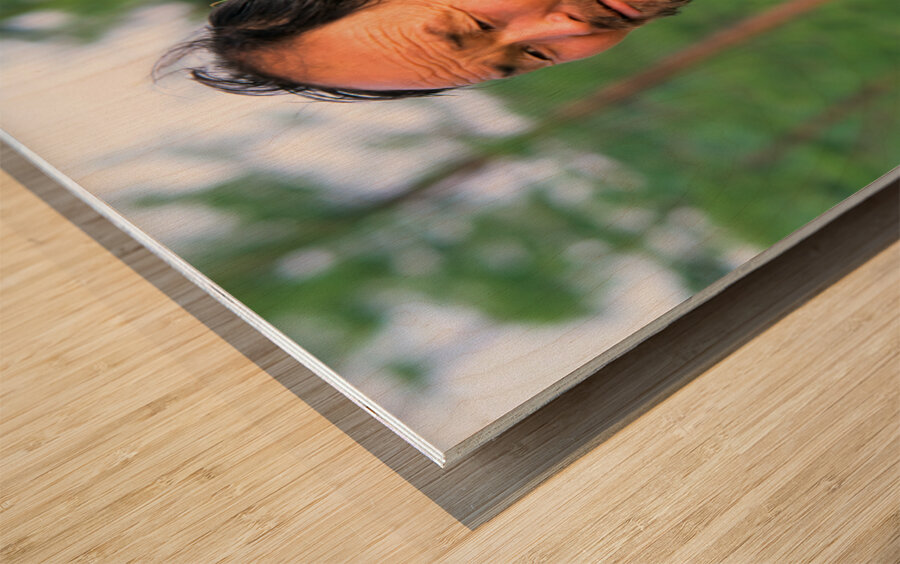 Mongolia. The Dukha Tsaatan are a small culture of reindeer herders living in northern Khövsgöl Aimag of Mongolia. Wood print